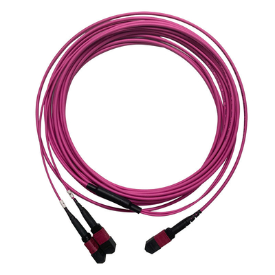 50/125 OM4 MM MPO 패치 코드 24F 3.0mm PVC 고밀도 멀티모드