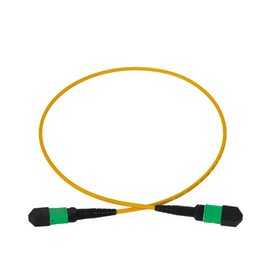 12F MPO 패치 코드 3mm LSZH 외장 자켓 PVC OFNR 네트워크용 외관