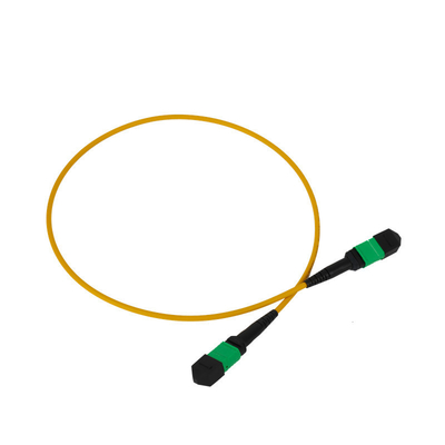 12F MPO 패치 코드 3mm LSZH 외장 자켓 PVC OFNR 네트워크용 외관