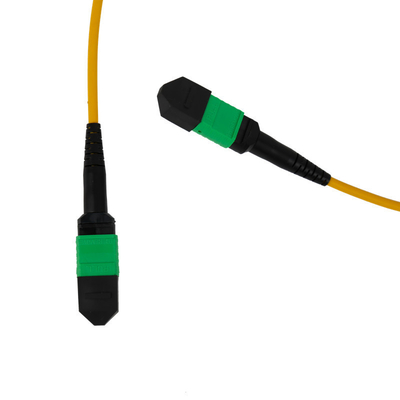 12F MPO 패치 코드 3mm LSZH 외장 자켓 PVC OFNR 네트워크용 외관